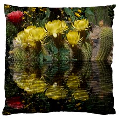 Cactus Flowers With Reflection Pool Large Cushion Case (two Sides)