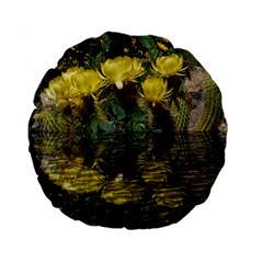 Cactus Flowers With Reflection Pool Standard 15  Premium Round Cushions by MichaelMoriartyPhotography