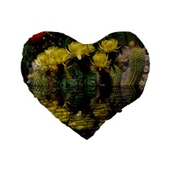 Cactus Flowers With Reflection Pool Standard 16  Premium Heart Shape Cushions