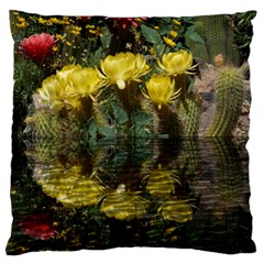 Cactus Flowers With Reflection Pool Standard Flano Cushion Case (two Sides) by MichaelMoriartyPhotography