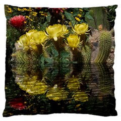 Cactus Flowers With Reflection Pool Large Flano Cushion Case (one Side) by MichaelMoriartyPhotography