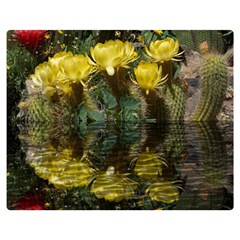 Cactus Flowers With Reflection Pool Double Sided Flano Blanket (medium)  by MichaelMoriartyPhotography