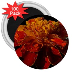 Marigold On Black 3  Magnets (100 Pack) by MichaelMoriartyPhotography