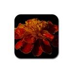 Marigold on Black Rubber Coaster (Square)  Front