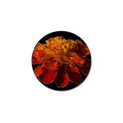 Marigold On Black Golf Ball Marker (4 Pack) by MichaelMoriartyPhotography