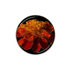 Marigold On Black Hat Clip Ball Marker (4 Pack) by MichaelMoriartyPhotography