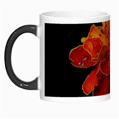 Marigold On Black Morph Mugs by MichaelMoriartyPhotography