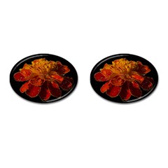 Marigold On Black Cufflinks (oval) by MichaelMoriartyPhotography