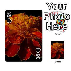 Marigold On Black Playing Cards 54 Designs  by MichaelMoriartyPhotography