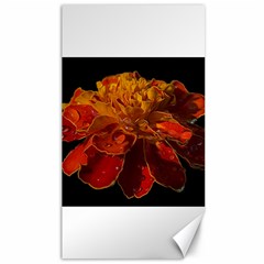 Marigold On Black Canvas 40  X 72   by MichaelMoriartyPhotography