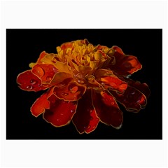 Marigold On Black Large Glasses Cloth by MichaelMoriartyPhotography