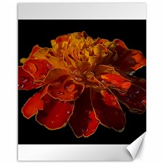 Marigold On Black Canvas 11  X 14   by MichaelMoriartyPhotography