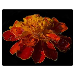 Marigold On Black Double Sided Flano Blanket (medium)  by MichaelMoriartyPhotography