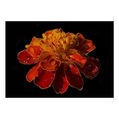 Marigold On Black Double Sided Flano Blanket (large)  by MichaelMoriartyPhotography