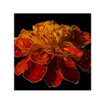 Marigold on Black Small Satin Scarf (Square) Front