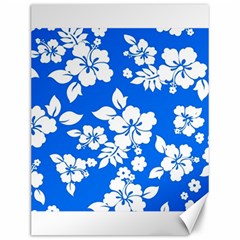 Blue Hawaiian Canvas 12  X 16  