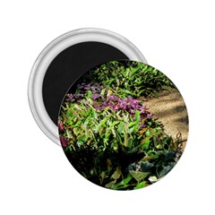 Shadowed Ground Cover 2 25  Magnets by ArtsFolly