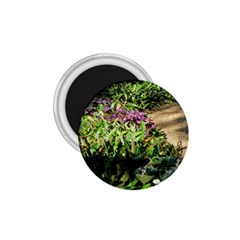 Shadowed Ground Cover 1 75  Magnets by ArtsFolly