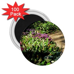 Shadowed Ground Cover 2 25  Magnets (100 Pack) 