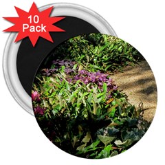 Shadowed Ground Cover 3  Magnets (10 Pack)  by ArtsFolly