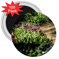 Shadowed Ground Cover 3  Magnets (100 Pack) by ArtsFolly