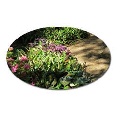 Shadowed Ground Cover Oval Magnet by ArtsFolly