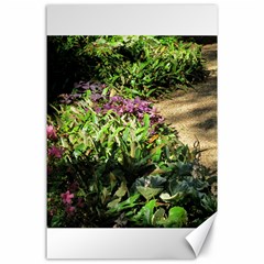 Shadowed Ground Cover Canvas 24  X 36 