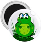 Green Frog 3  Magnets Front