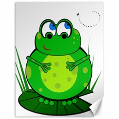 Green Frog Canvas 12  X 16   by Valentinaart