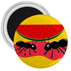 Ants And Watermelon  3  Magnets by Valentinaart