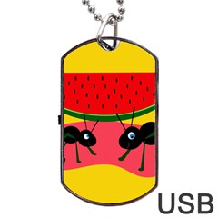 Ants And Watermelon  Dog Tag Usb Flash (one Side) by Valentinaart