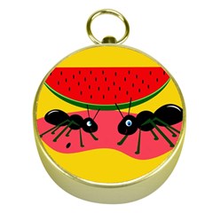 Ants And Watermelon  Gold Compasses by Valentinaart