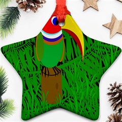 Toucan Ornament (star) 