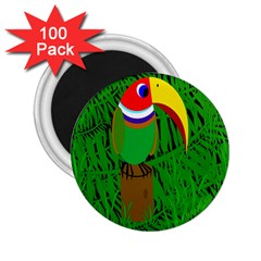 Toucan 2 25  Magnets (100 Pack) 