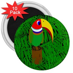 Toucan 3  Magnets (10 Pack) 