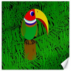 Toucan Canvas 20  X 20   by Valentinaart