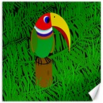 Toucan Canvas 20  x 20   19 x19.27  Canvas - 1