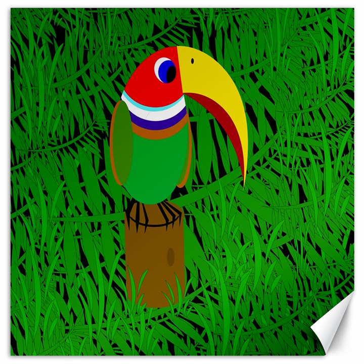 Toucan Canvas 20  x 20  