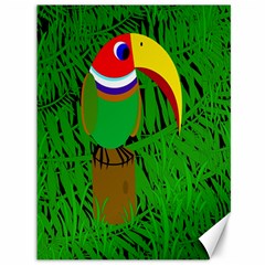 Toucan Canvas 36  X 48   by Valentinaart