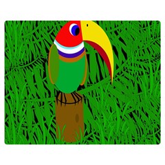 Toucan Double Sided Flano Blanket (medium) 