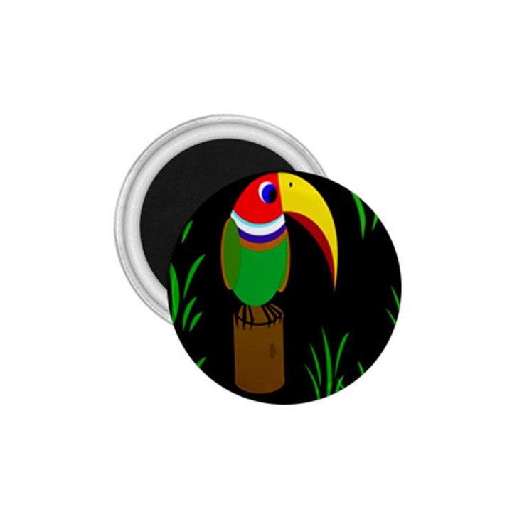 Toucan 1.75  Magnets