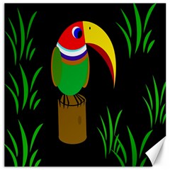 Toucan Canvas 16  x 16  