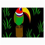 Toucan Large Glasses Cloth (2-Side) Front