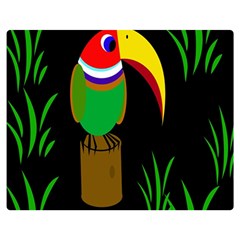 Toucan Double Sided Flano Blanket (medium)  by Valentinaart