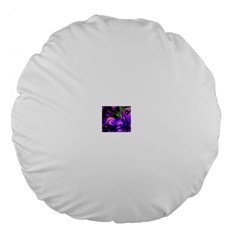 15   11r1r1trq Large 18  Premium Flano Round Cushions