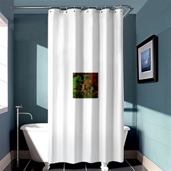 13627210 10209771536307601 4614468097769293160 N Shower Curtain 36  X 72  (stall) 