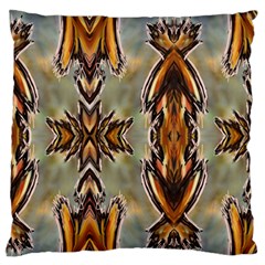 Xpire Standard Flano Cushion Case (two Sides) by tsartswashington