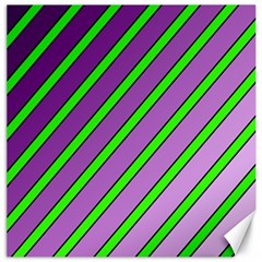 Purple And Green Lines Canvas 12  X 12   by Valentinaart