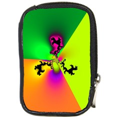 Creation Of Color Compact Camera Cases