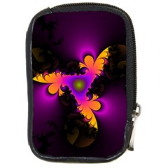 Beginning Compact Camera Cases